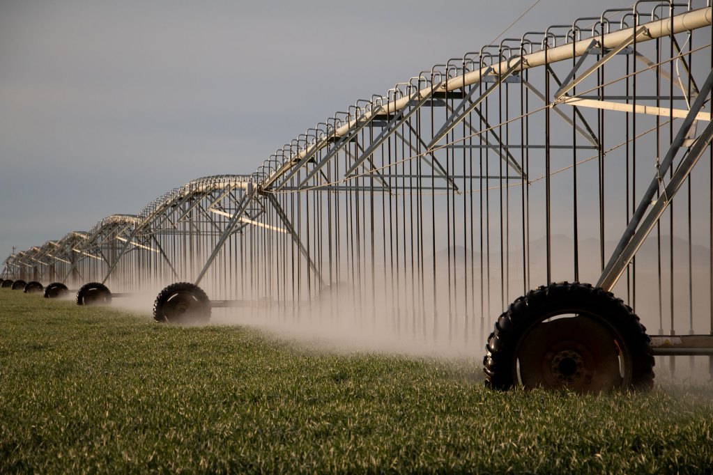 A center pivot sprinkler arm irrigates a field with groundwater in Arizona's Sulphur Springs Valley in Cochise County on Feb. 23, 2024.  Photos by Brendon Derr | AZCIR